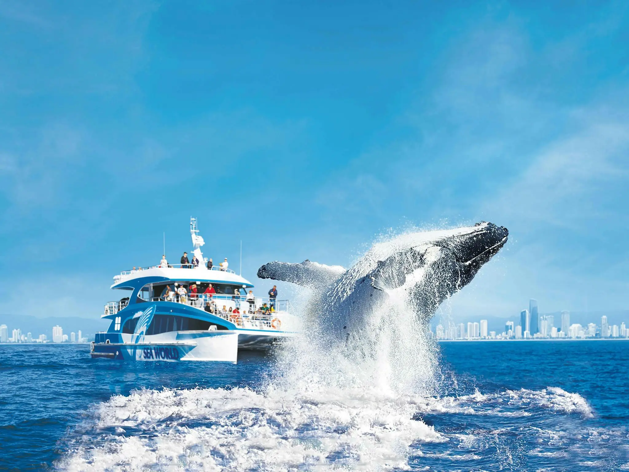 Stay 3 nights + free Whale Watching for up to 4 guests