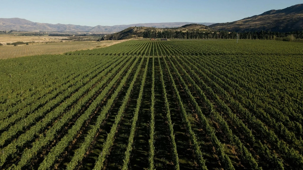 Nanny Goat Wine Makers Dinner | Beechmont Estate Image 1