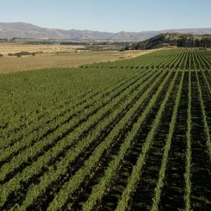 Nanny Goat Wine Makers Dinner | Beechmont Estate Image 1