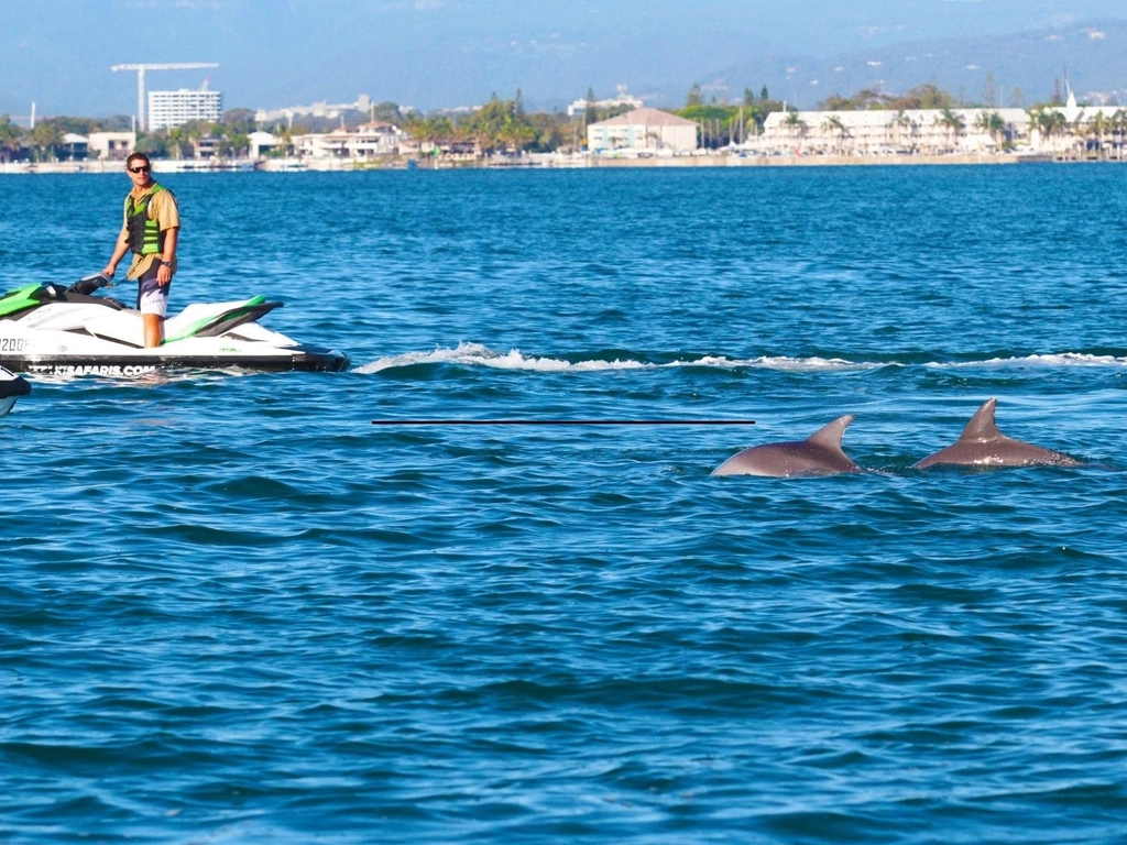 Man on jet ski watching Dolphins