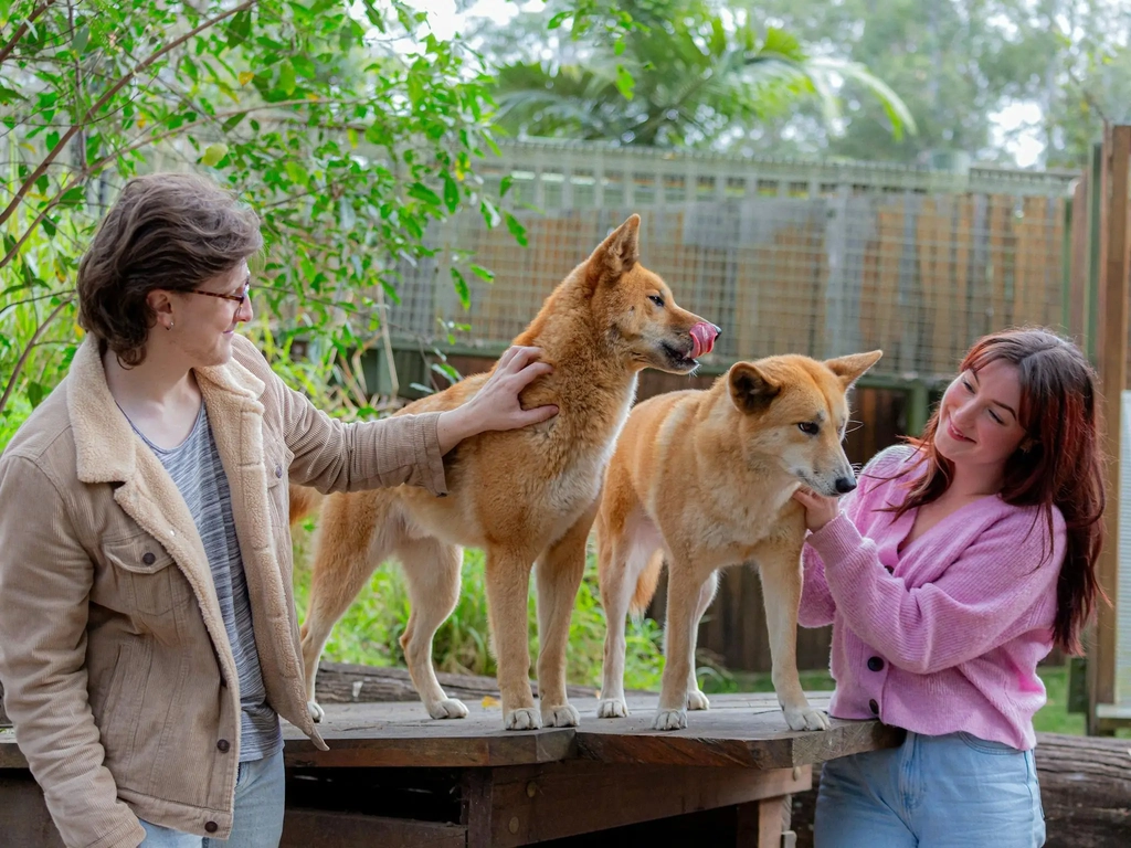 Participants enjoying dingo encounter