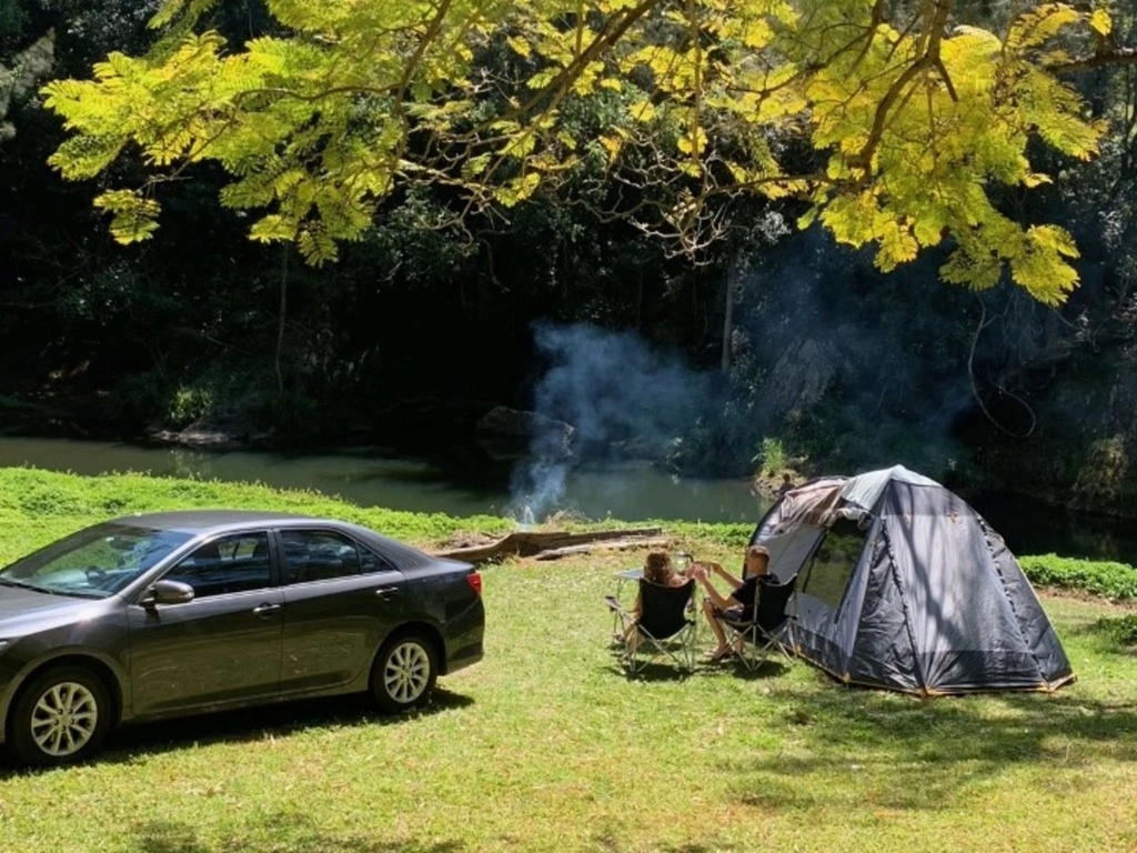 Tallebudgera Veg Sanctuary