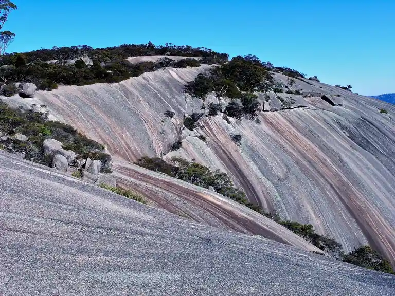 Bald Rock, New South Wales
