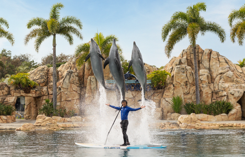 ONE Dolphin Presentaion 784x502.png