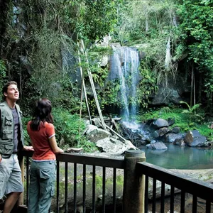 Couple standing on viewing deck with falls in background.