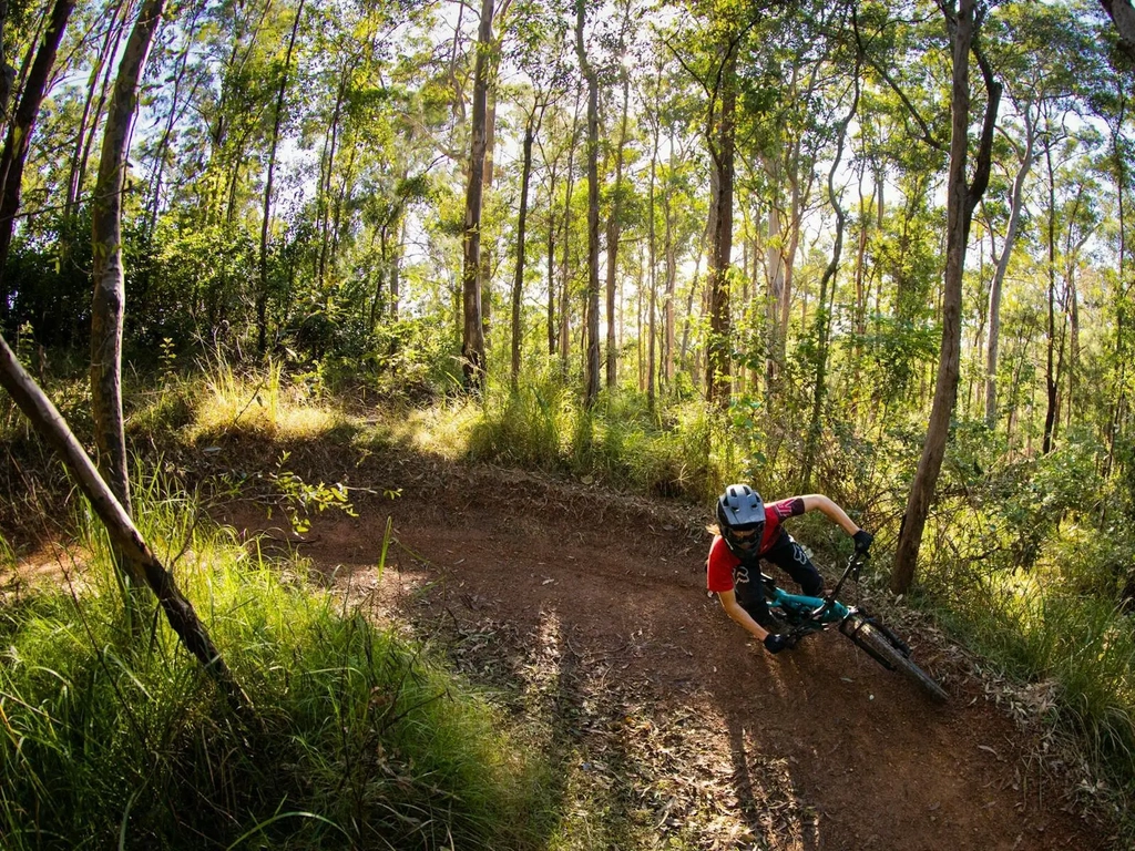 rider on berm in australian forest