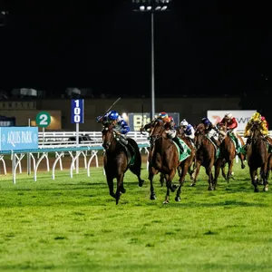 Silks Under The Stars Race Evening Image 1