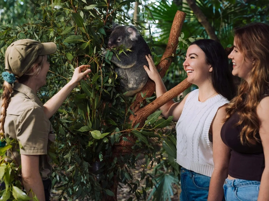 Guests participating in koala encounter