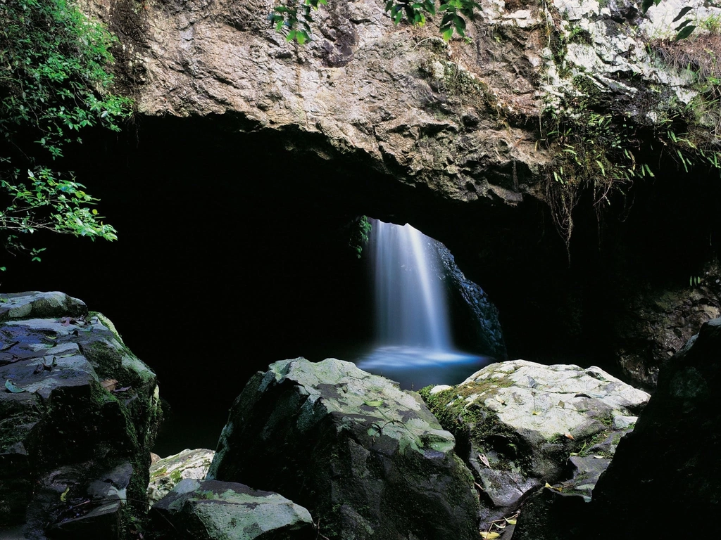 Cave and waterfall on Natural Bridge Circuit, Springbrook National Park