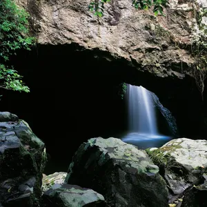 Cave and waterfall on Natural Bridge Circuit, Springbrook National Park