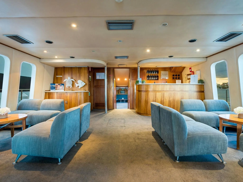 Luxury Whale Watching Tour and Private Yacht Charters