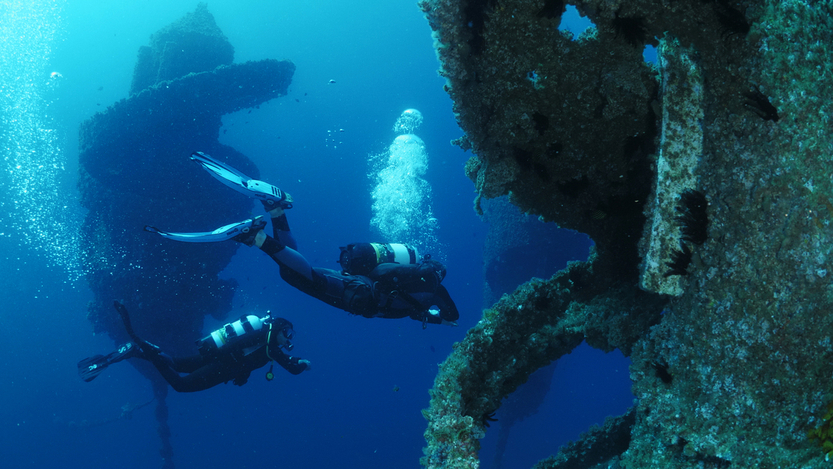 Wonder Reef