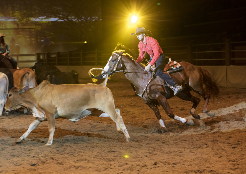 Australian Outback Spectacular