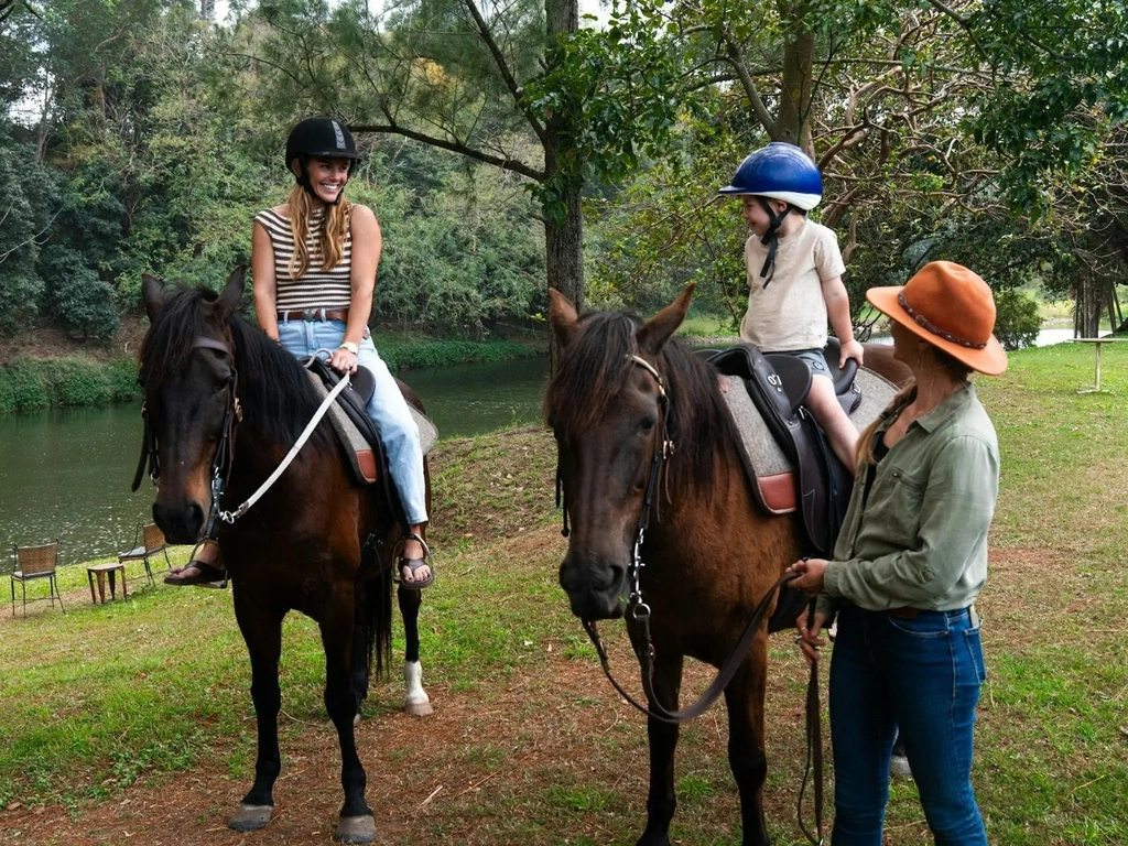 horse rides