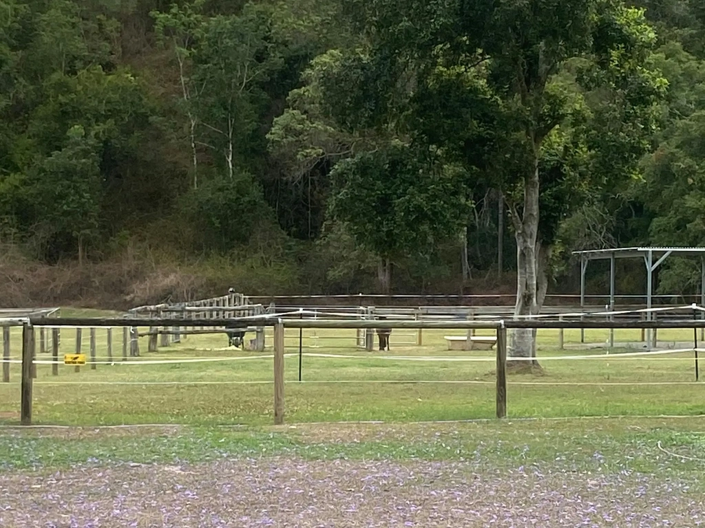 Carcary Farm