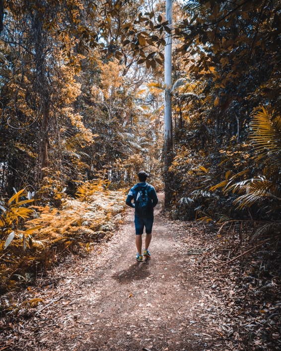 Hinterland Hike