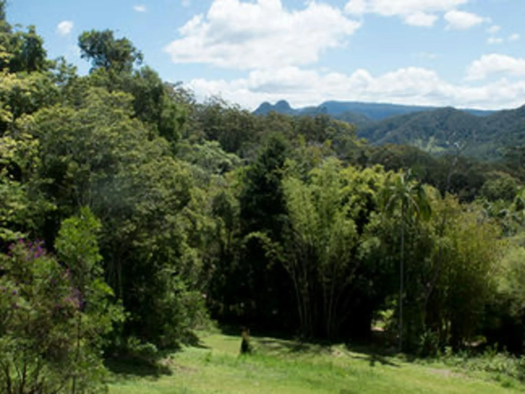 Ananda Rainforest Retreat