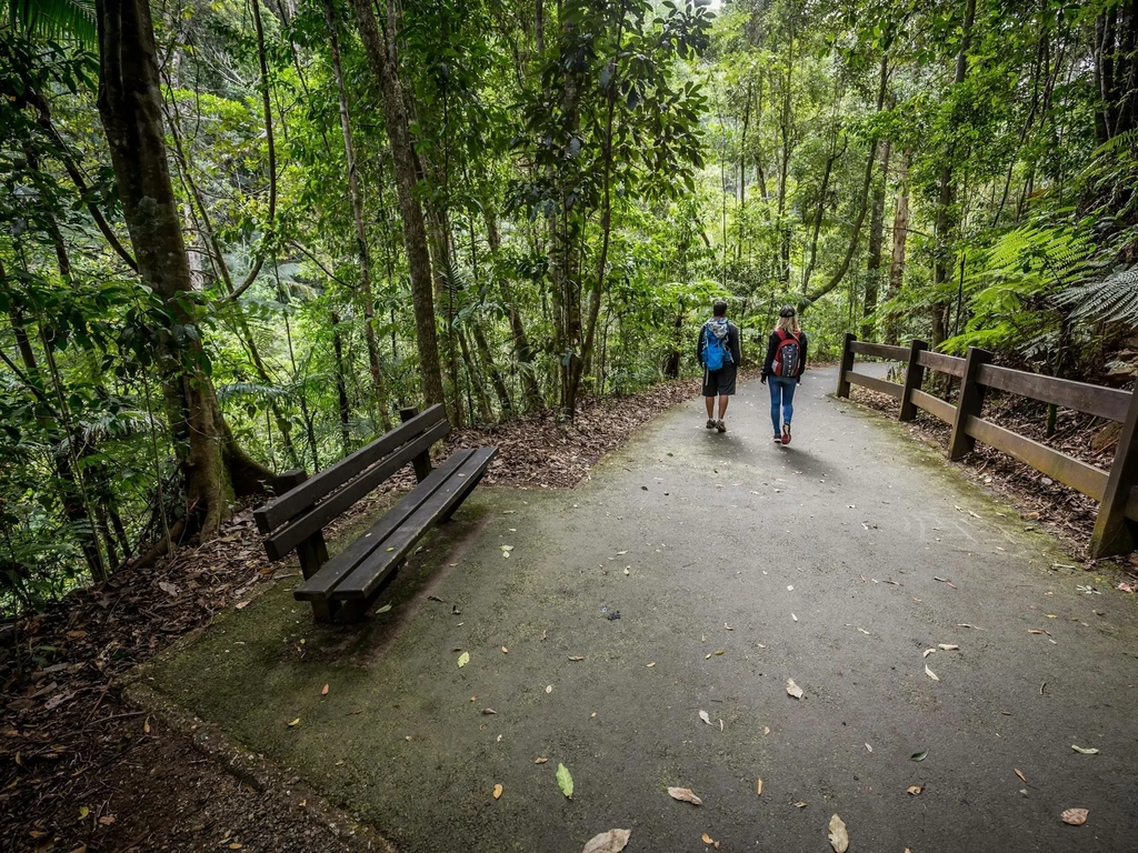 Two people walking away from the camera along a bitumen path through rainforest.