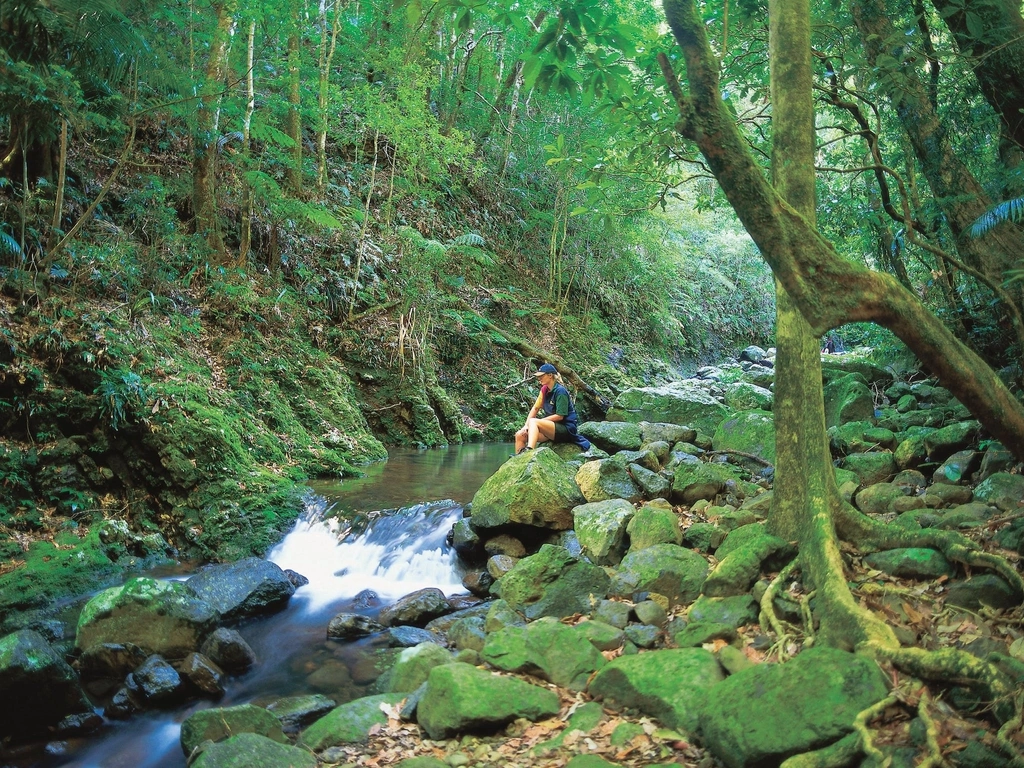 Girl sitting near creek surrounded by rainforest Lamington National Park