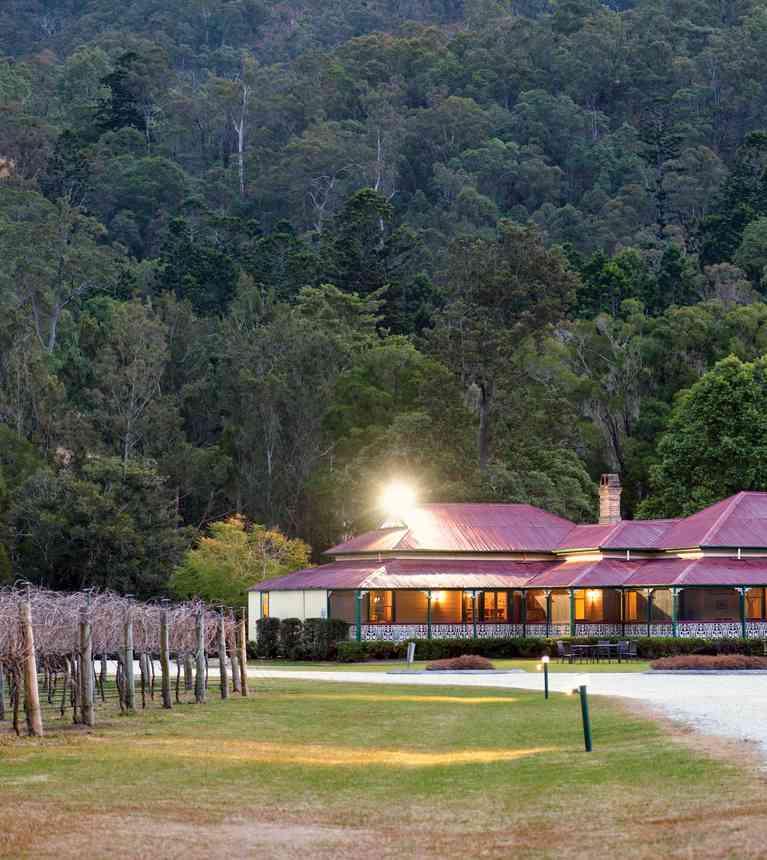 O'Reilly's Canungra Valley Vineyards