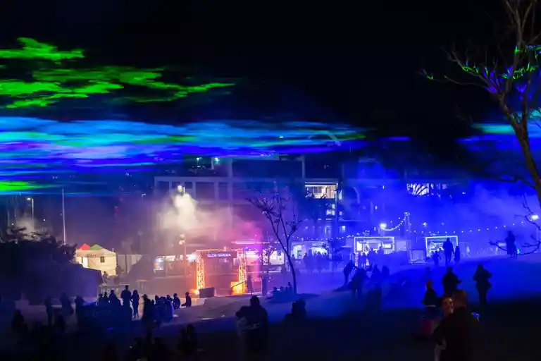 Night Bites Under Lights Image 2