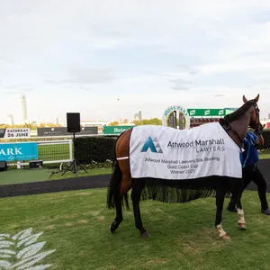 Attwood Marshall Lawyers Raceday Image 1