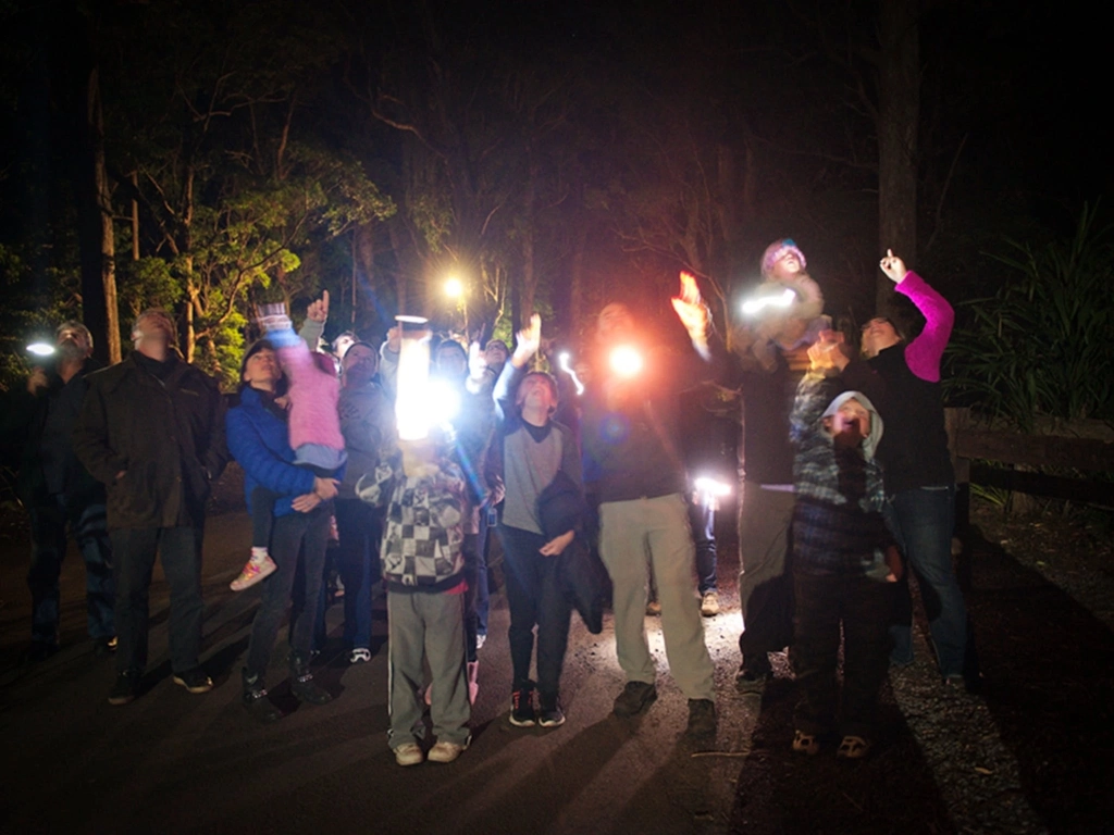 After dark night walk at Binna Burra