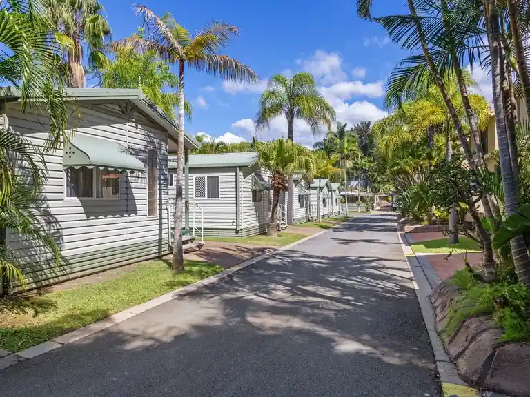 Ashmore Palms' Premium Palm Cottages