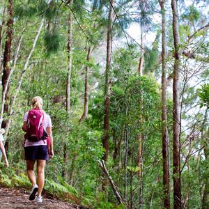 Get Outdoors With These Top Gold Coast Bushwalking Tracks