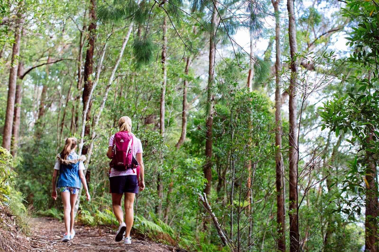 Get Outdoors With These Top Gold Coast Bushwalking Tracks