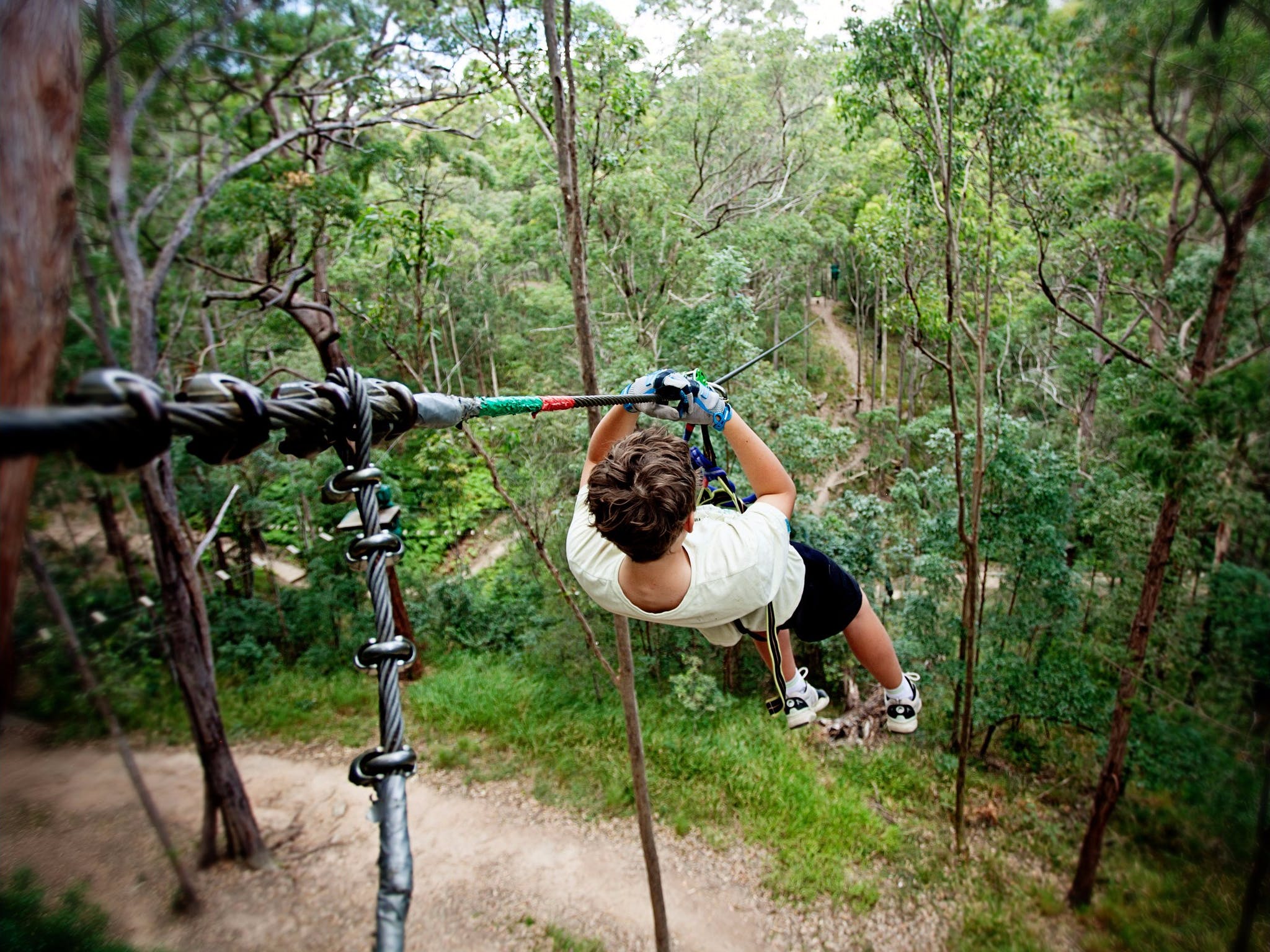 TreeTop Challenge Mt Tamborine Destination Gold Coast