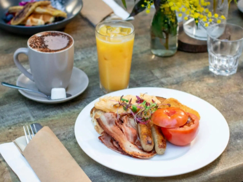 Koala Breakfast at Currumbin Wildlife Sanctuary Image 3
