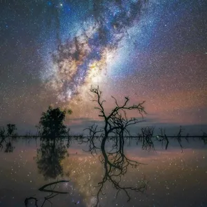 Burleigh Heads Milky Way Masterclass Image 1