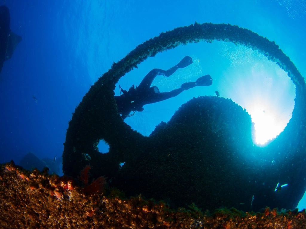 diver floating over Wonder Reef sculpture