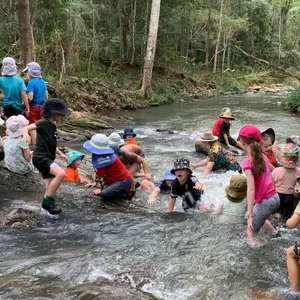 Gold Coast Hinterland Nature Adventures for Kids (School Holidays) Image 1