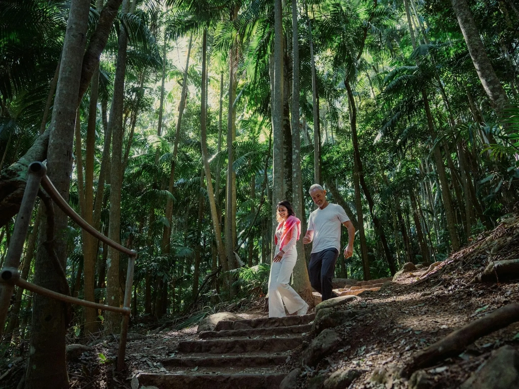 Rainforest Walk