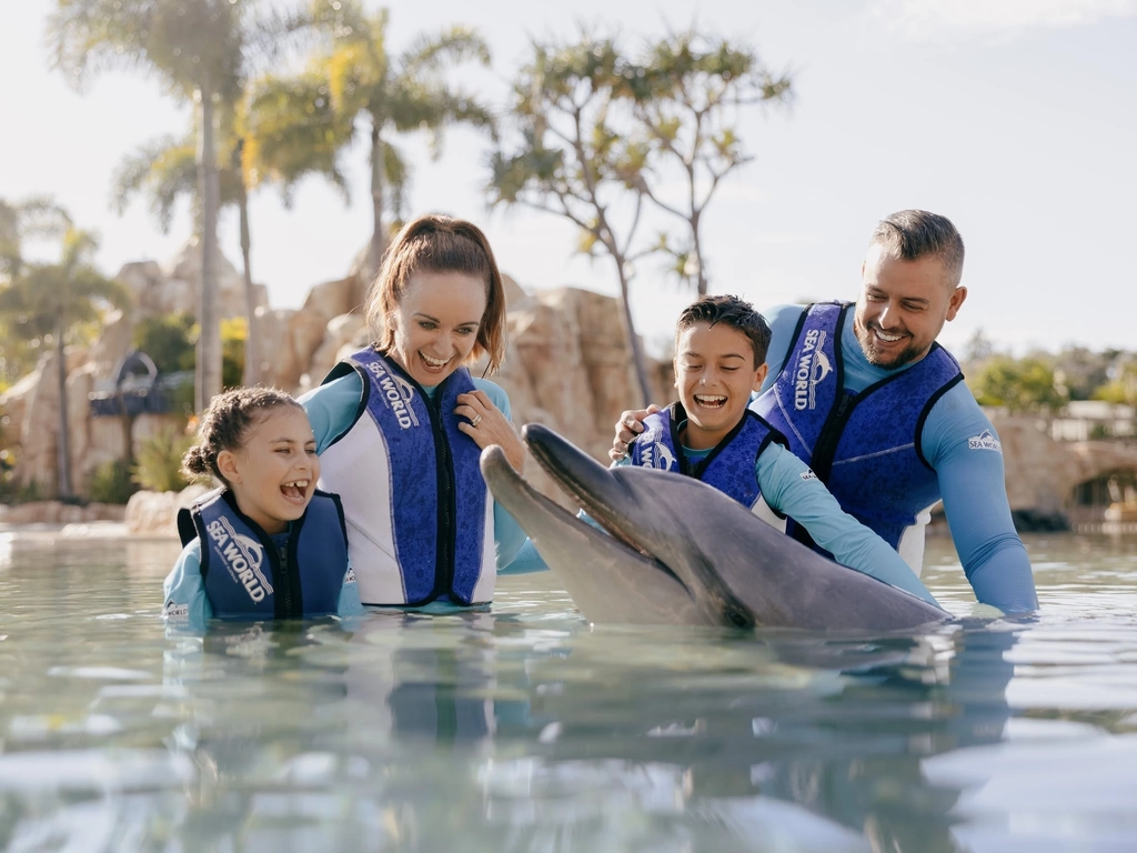 Dolphins at Sea World