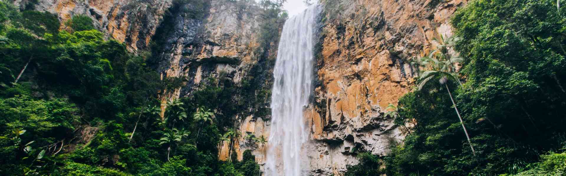 Purlingbrook Falls, Springbrook