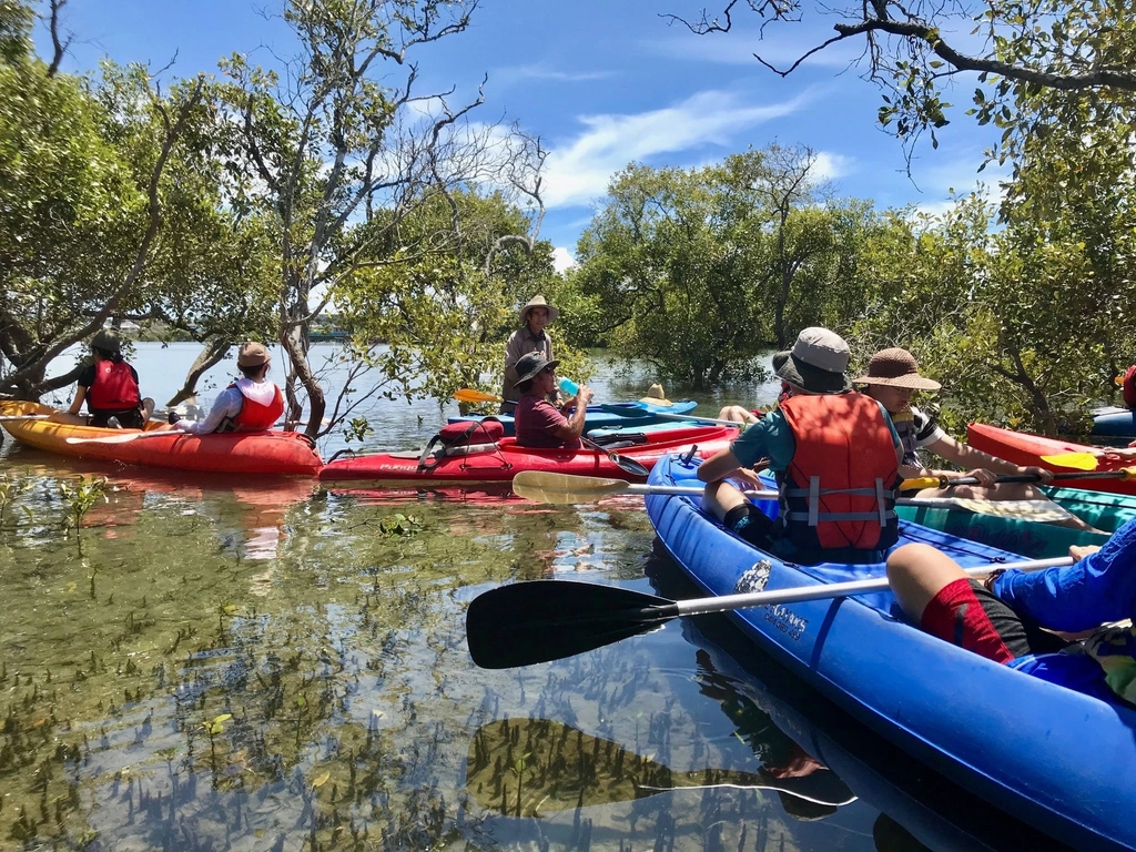 Mangroves