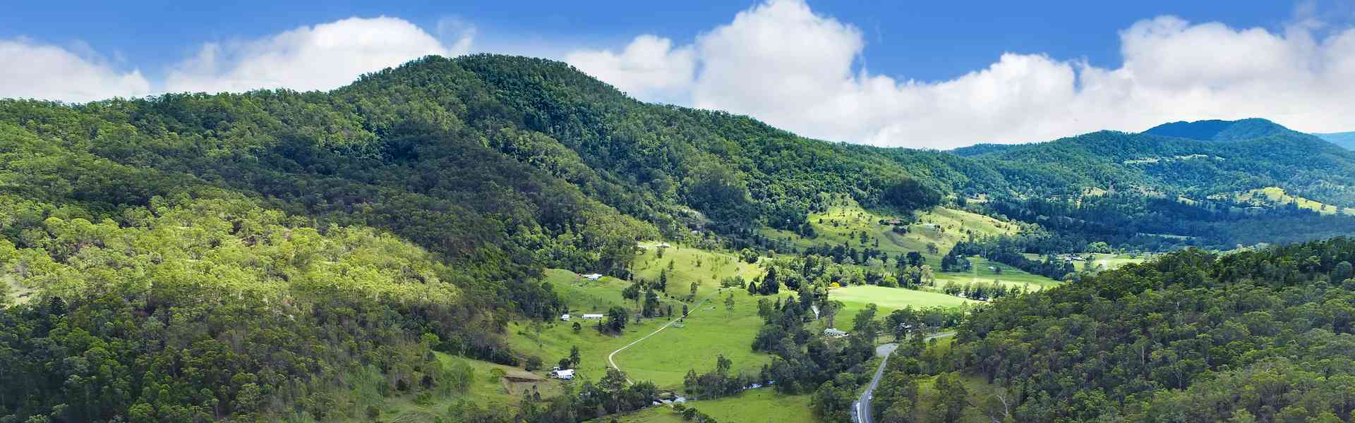 O'Reilly's Canungra Valley Vineyards