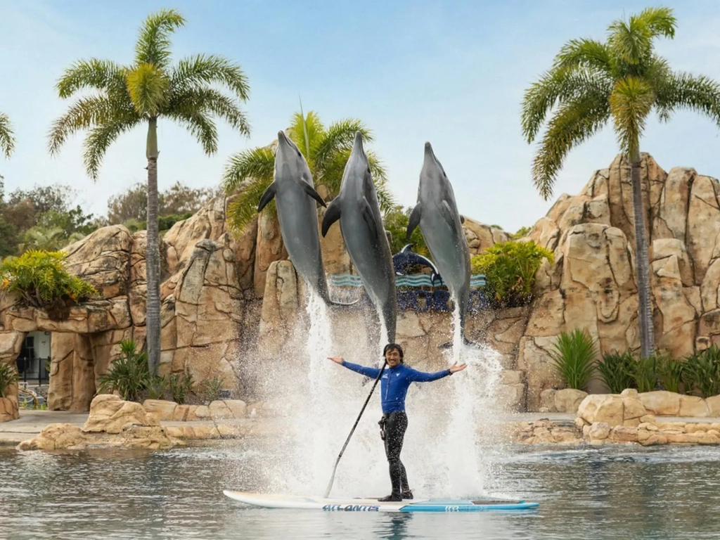 ONE Dolphin Presentation - Sea World