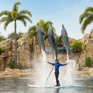 ONE Dolphin Presentation - Sea World