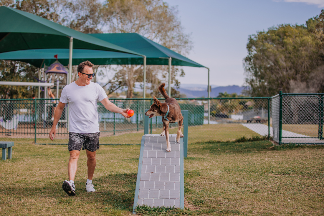 COGC - gold coast dog park 5.jpg