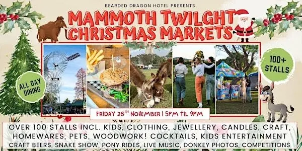 Tamborine's BIGGEST Christmas Twilight Market Image 1