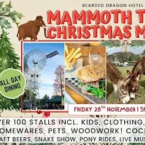 Tamborine's BIGGEST Christmas Twilight Market Image 1