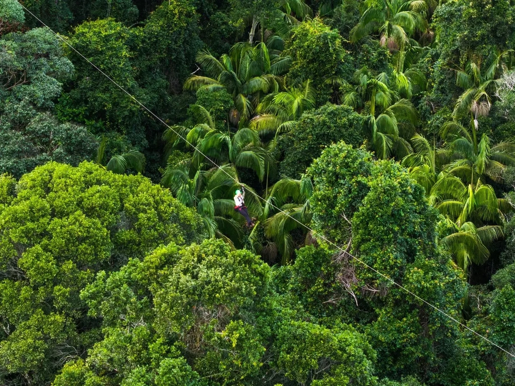 Soar high above lush rainforest at speeds up to 70kmh