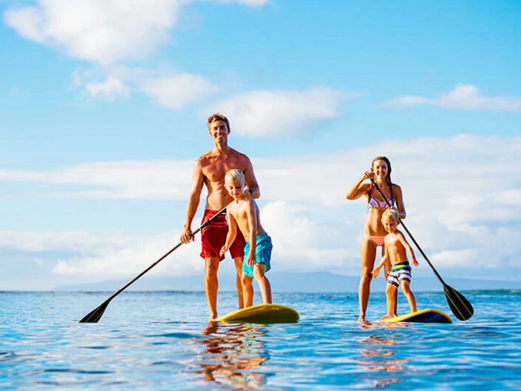 Stand Up Paddle Board