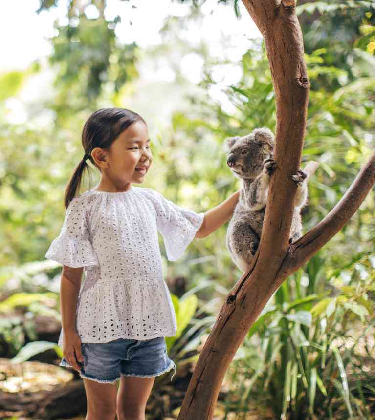 Currumbin Wildlife Sanctuary