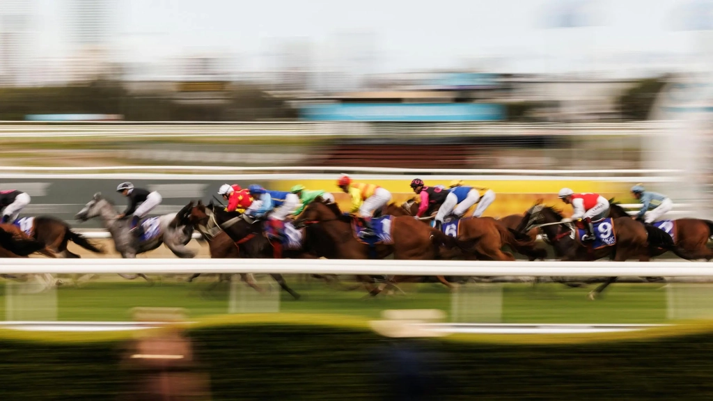 Men Matter Cox Plate Day Image 2