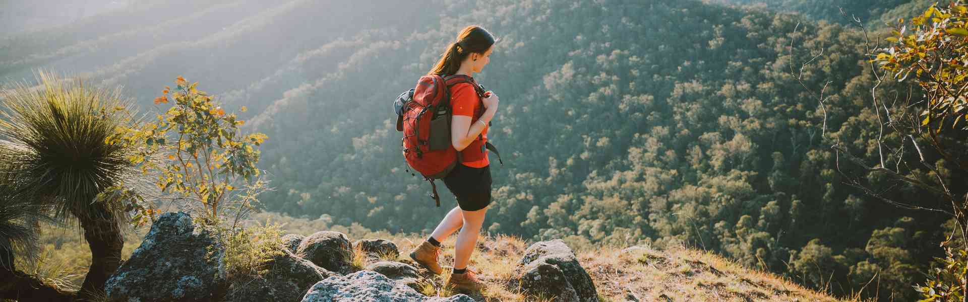 Discover 12 of the Best Gold Coast Hikes & Bushwalks